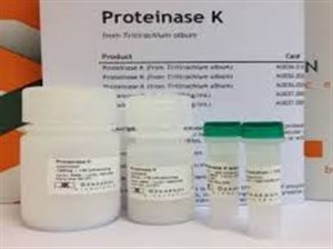 آنزیم و مواد مورد نیاز جهت تستهای PCR