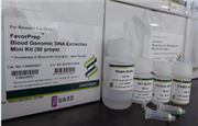 کیت استخراجDNA از خون