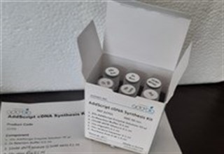 cDNA Synthesis kit 50 test