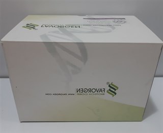 Gel/PCR purification Mini kit