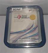 کیت الایزا BDNF