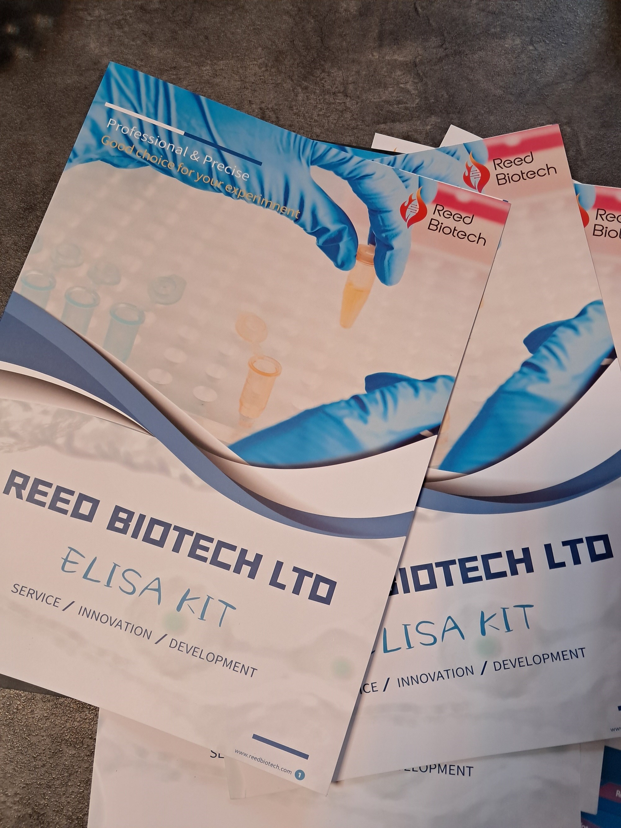 سایت کیت ایران (شرکت مهام زیست کالا وارد کننده کیتهای الایزا تحقیقاتی از کشور چین برند Reedbiotech